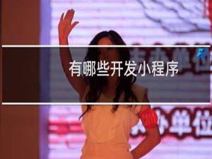 有哪些开发小程序
