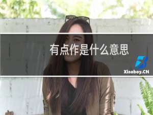 有点作是什么意思