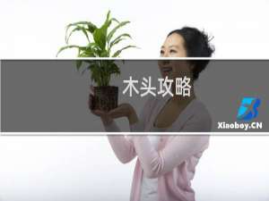 木头攻略