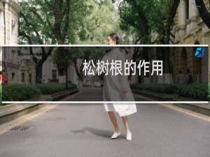 松树根的作用