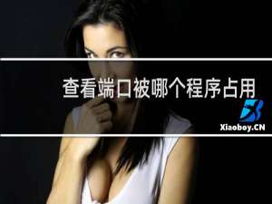 查看端口被哪个程序占用