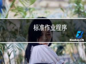标准作业程序