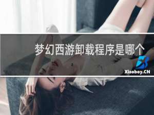 梦幻西游卸载程序是哪个