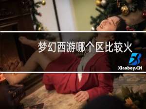 梦幻西游哪个区比较火