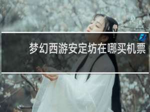 梦幻西游安定坊在哪买机票