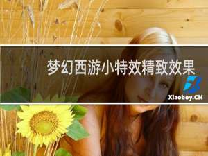 梦幻西游小特效精致效果