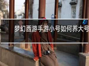 梦幻西游手游小号如何养大号