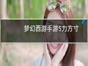 梦幻西游手游5力方寸