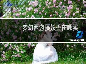 梦幻西游摄妖香在哪买