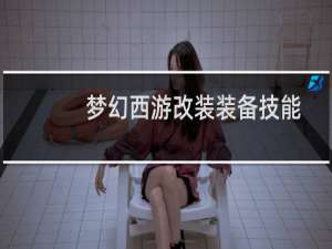 梦幻西游改装装备技能