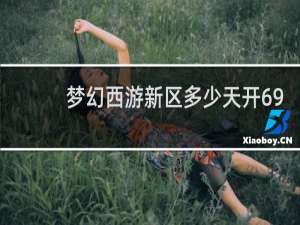 梦幻西游新区多少天开69