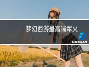 梦幻西游最高端军火