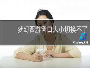 梦幻西游窗口大小切换不了