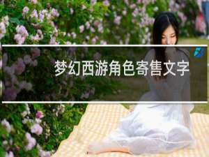 梦幻西游角色寄售文字