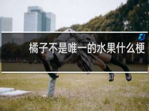 橘子不是唯一的水果什么梗