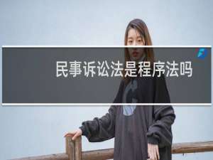 民事诉讼法是程序法吗