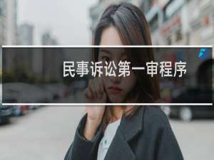民事诉讼第一审程序