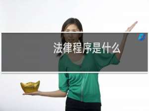法律程序是什么