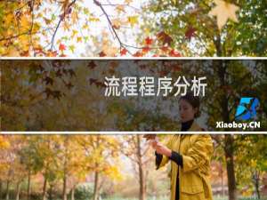 流程程序分析