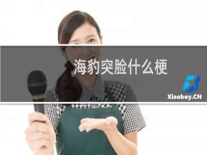 海豹突脸什么梗
