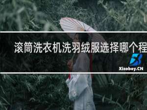 滚筒洗衣机洗羽绒服选择哪个程序