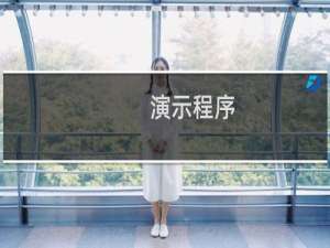 演示程序