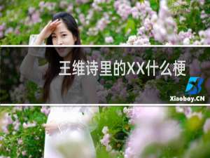 王维诗里的XX什么梗