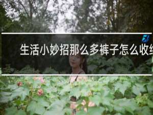 生活小妙招那么多裤子怎么收纳