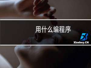 用什么编程序