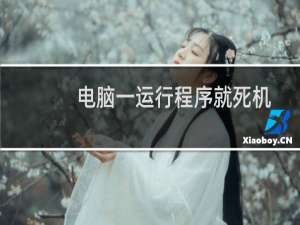 电脑一运行程序就死机