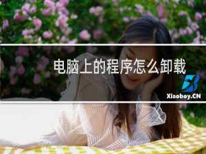 电脑上的程序怎么卸载