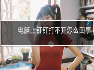 电脑上钉钉打不开怎么回事