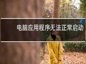电脑应用程序无法正常启动