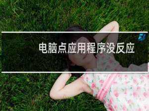 电脑点应用程序没反应