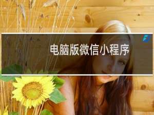 电脑版微信小程序