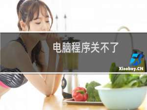 电脑程序关不了