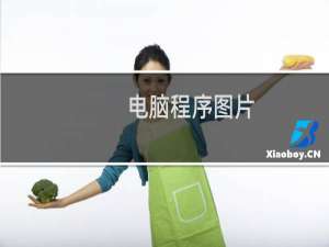 电脑程序图片