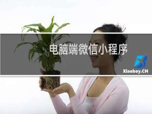 电脑端微信小程序