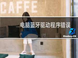 电脑蓝牙驱动程序错误