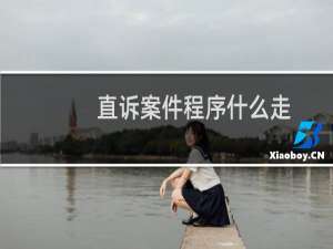 直诉案件程序什么走