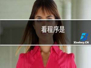 看程序是