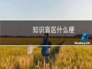知识盲区什么梗？什么梗