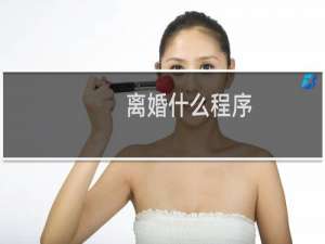 离婚什么程序