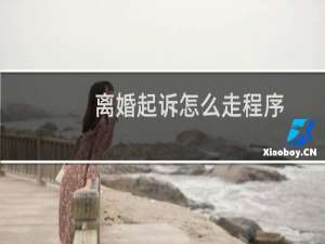 离婚起诉怎么走程序