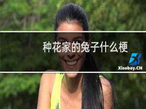 种花家的兔子什么梗