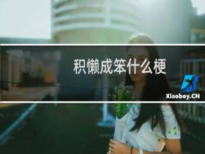 积懒成笨什么梗？什么梗