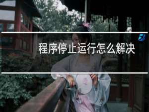 程序停止运行怎么解决