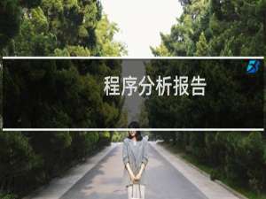 程序分析报告