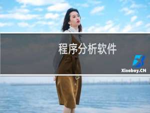 程序分析软件