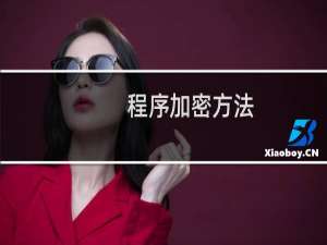 程序加密方法